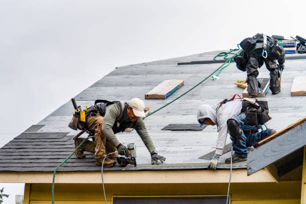 Professional Roofing technician working in Alberta, VA